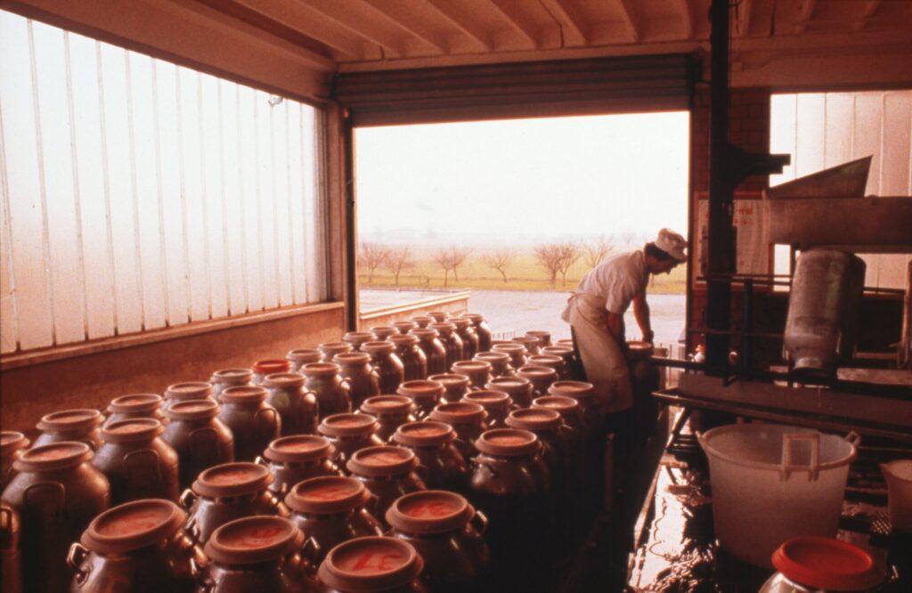archiviostorico.parmigianoreggiano.com/
